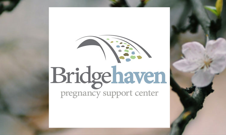 Bridgehaven Pregnancy Support Center