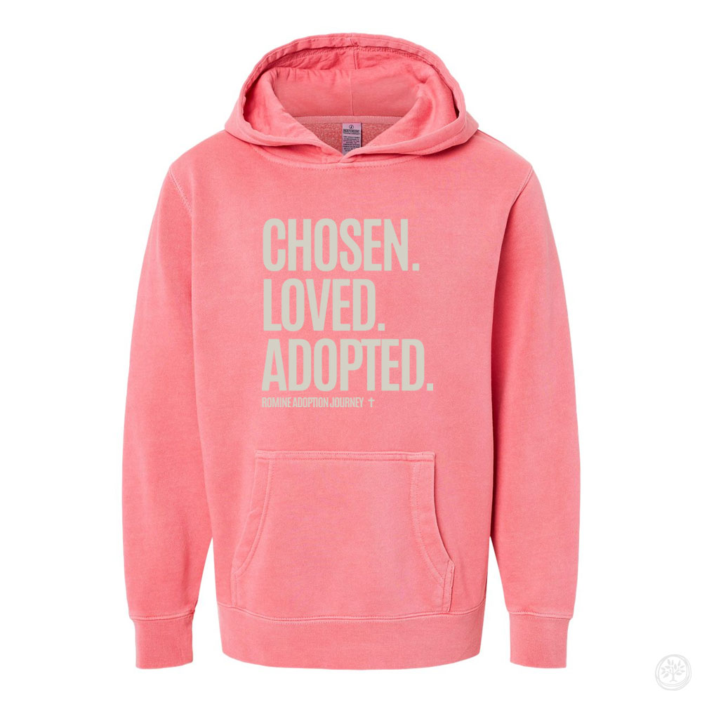 Romine Adoption KIDS Vintage Hoodie