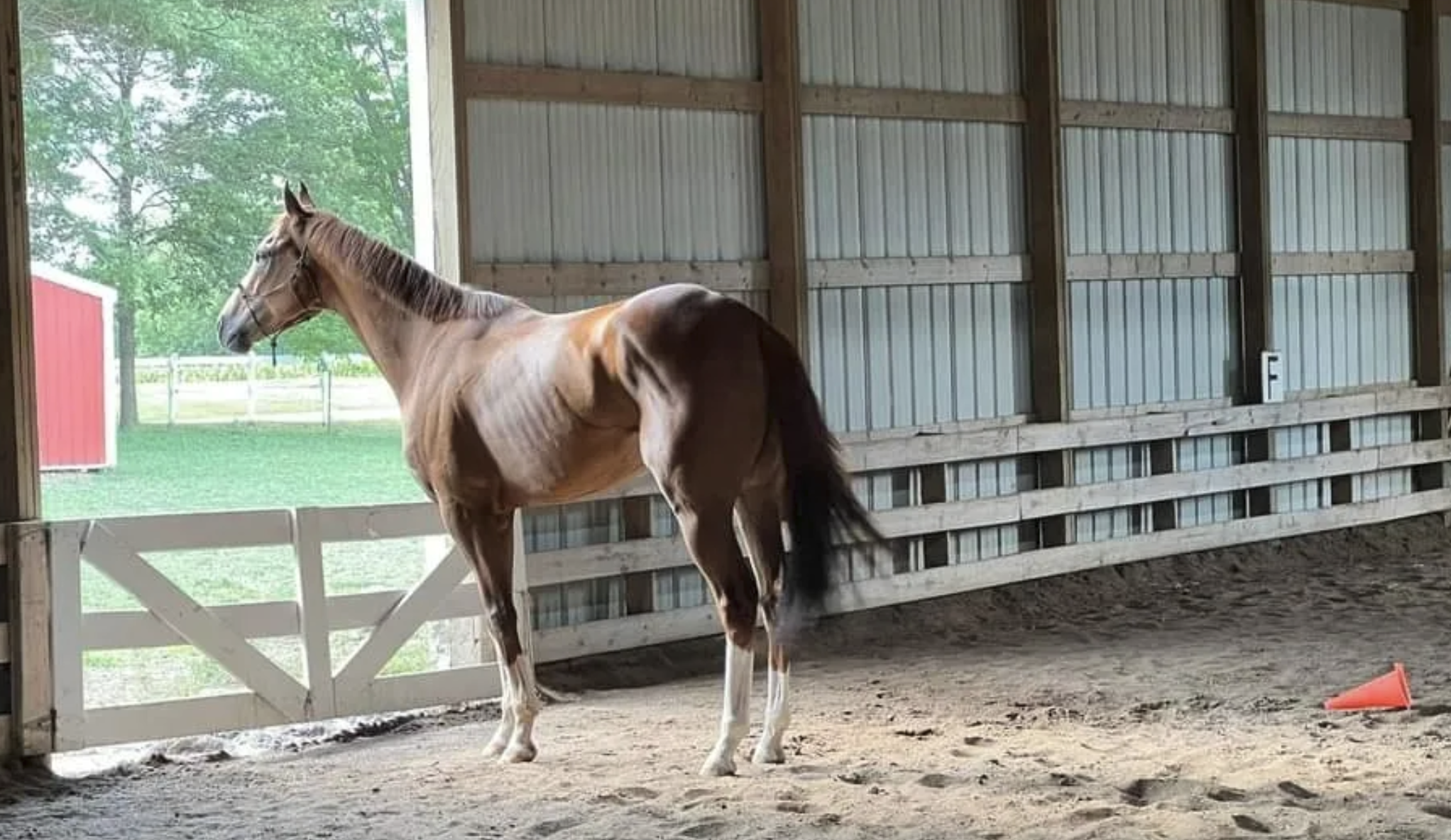 Unbridled Spirits Thoroughbred Retirement Ranch