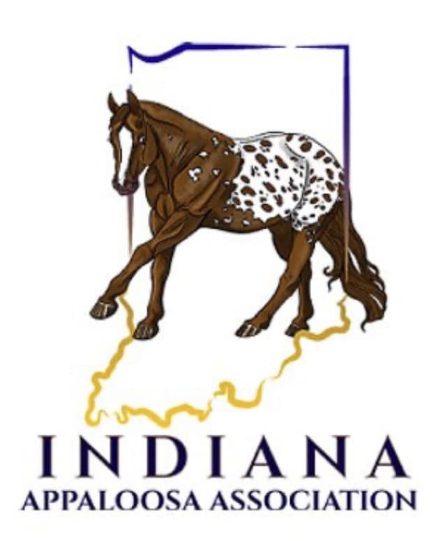 Thank you Indiana Appaloosa Association!