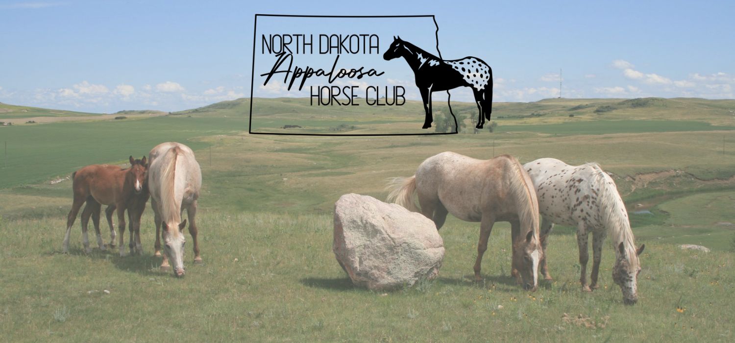 The Club Challenge is Going Viral! Thank you North Dakota Appaloosa Horse Club!